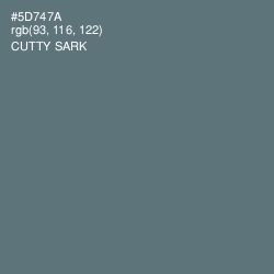 #5D747A - Cutty Sark Color Image